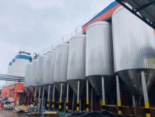 塔羅斯桶精釀啤酒招商加盟-啤酒廠家代理商-3升桶精釀果啤